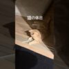 Thumbnail of new posts 179