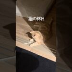 Thumbnail of new posts 155