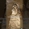 Thumbnail of new posts 035