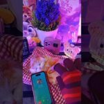 Thumbnail of new posts 107