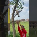 Thumbnail of new posts 185
