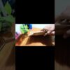 Thumbnail of new posts 052