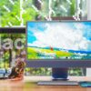 Thumbnail of new posts 017