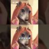 Thumbnail of new posts 127