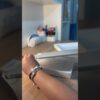 Thumbnail of related posts 083