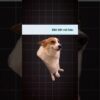 Thumbnail of related posts 084