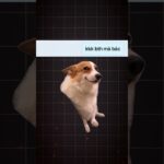 Thumbnail of related posts 153