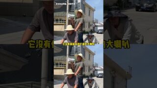 Thumbnail of post image 136
