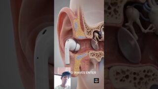 Thumbnail of post image 149