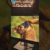 Thumbnail of new posts 138