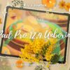 Thumbnail of new posts 016