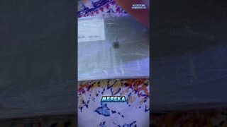 Thumbnail of post image 054