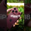 Thumbnail of related posts 197