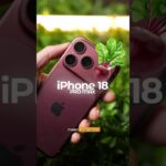 Thumbnail of related posts 164