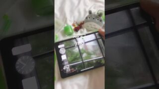 Thumbnail of post image 011