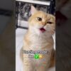 Thumbnail of related posts 184