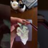 Thumbnail of related posts 159