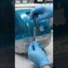Thumbnail of related posts 032
