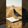 Thumbnail of related posts 017