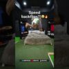 Thumbnail of related posts 058