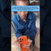 Thumbnail of related posts 138
