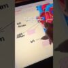 Thumbnail of new posts 172