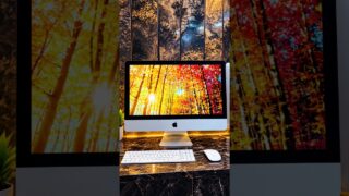Thumbnail of post image 125